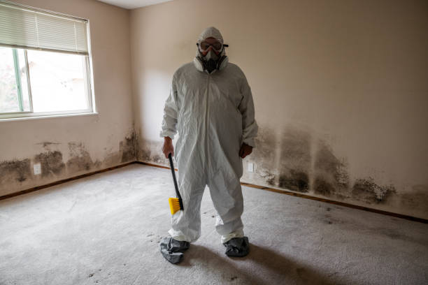 Professional Mold Inspection, Removal & Remediation in Hauula, HI